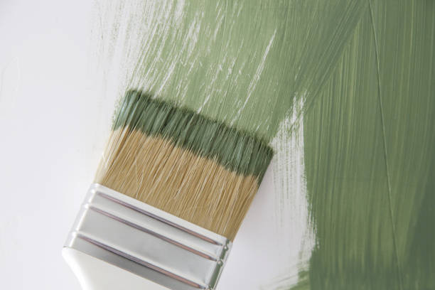  Bement, IL Mold Removal Pros
