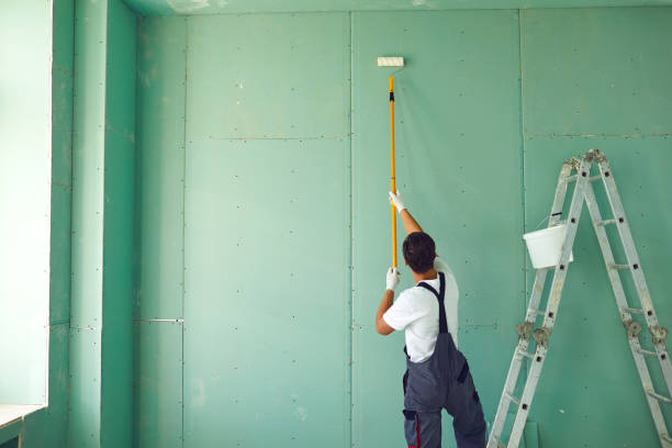 Best Residential Mold Inspection & Testing  in Bement, IL