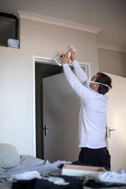 Best Mold Removal for HVAC Installations  in Bement, IL