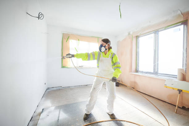 Best HVAC Mold Inspection and Cleaning  in Bement, IL