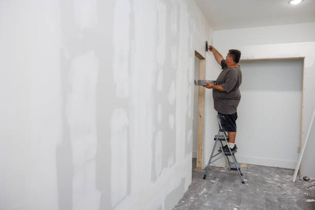 Best Environmental Consulting for Mold Prevention  in Bement, IL