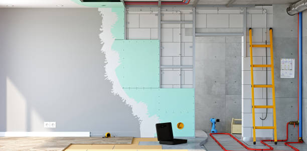 Best Real Estate Mold Inspection  in Bement, IL