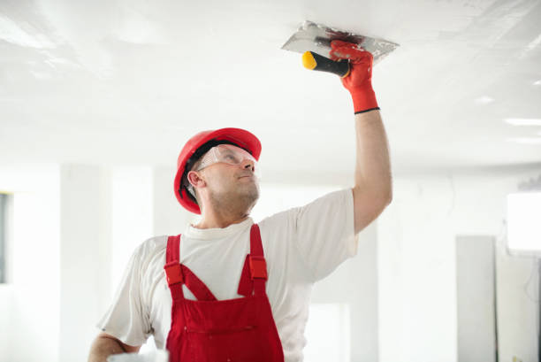 Best Airborne Mold Testing  in Bement, IL