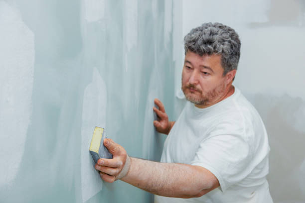 Best Air Quality Testing for Mold Spores  in Bement, IL