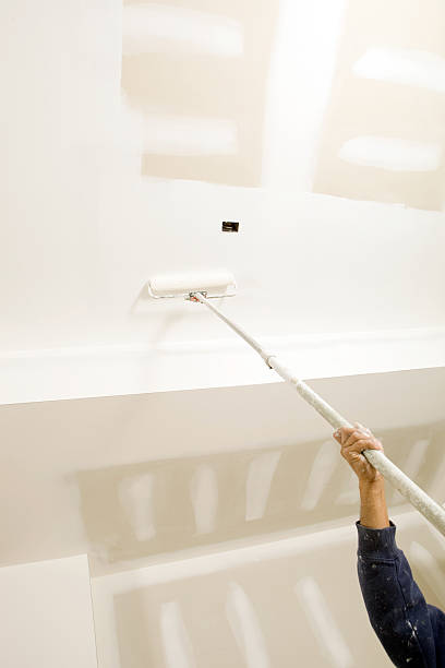 Best Dehumidification Services  in Bement, IL