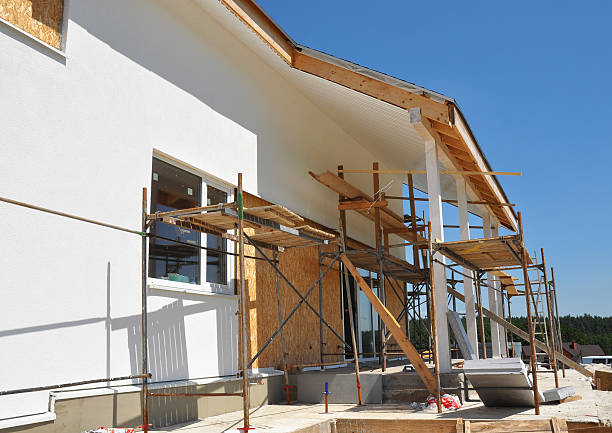 Best Asbestos and Lead Testing During Mold Inspection  in Bement, IL