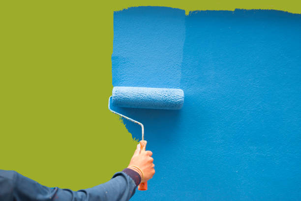 Best Mold Remediation for Healthcare Facilities  in Bement, IL