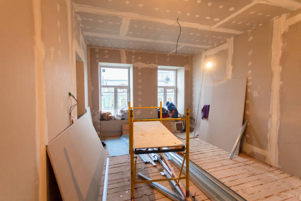 Best Crawl Space Mold Remediation  in Bement, IL