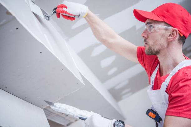 Best Mold Prevention Services  in Bement, IL